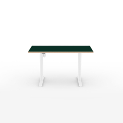 Domusnord Hve Snkebord Room Linoleum Eg kant 120 x 60 cm i 19 farver