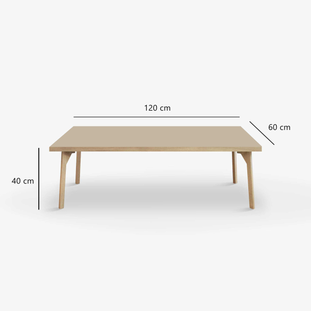 Domusnord Coffee table Room Lounge Table - with linoleum and oak edge 120x60