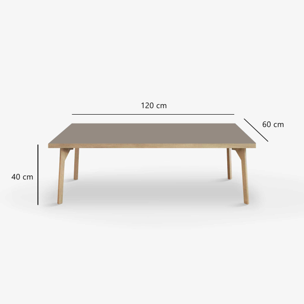 Domusnord Coffee table Room Lounge Table - with linoleum and oak edge 120x60