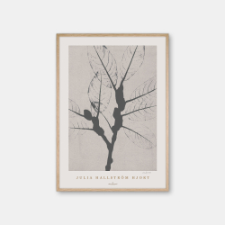 Julia Hallstrm Hjort Ash Poster