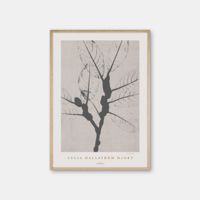 Julia Hallstrm Hjort Ash Poster