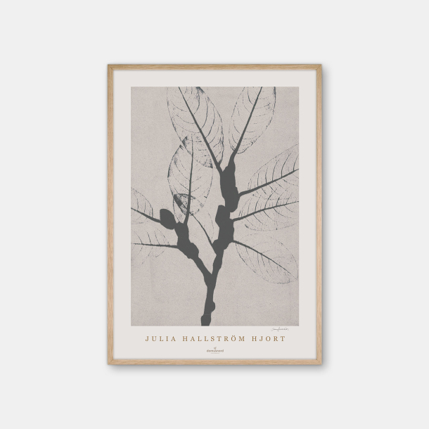 Julia Hallstrm Hjort Ash plakat