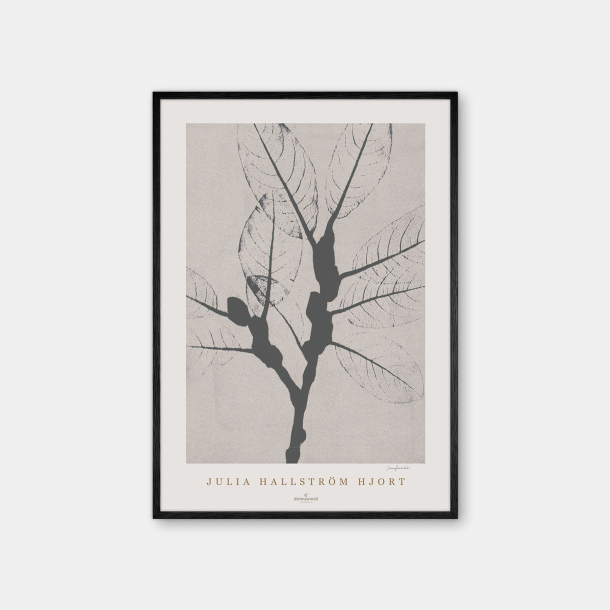 Julia Hallstrm Hjort Ash Poster