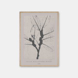 Julia Hallstrm Hjort Ash Dark Poster
