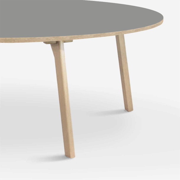 Domusnord Room Oval Dining Table 300 x 110 cm in 19 colors