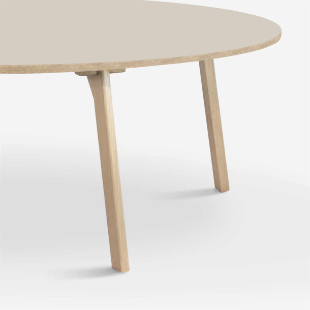 Domusnord Room Oval Dining Table 300 x 110 cm in 19 colors