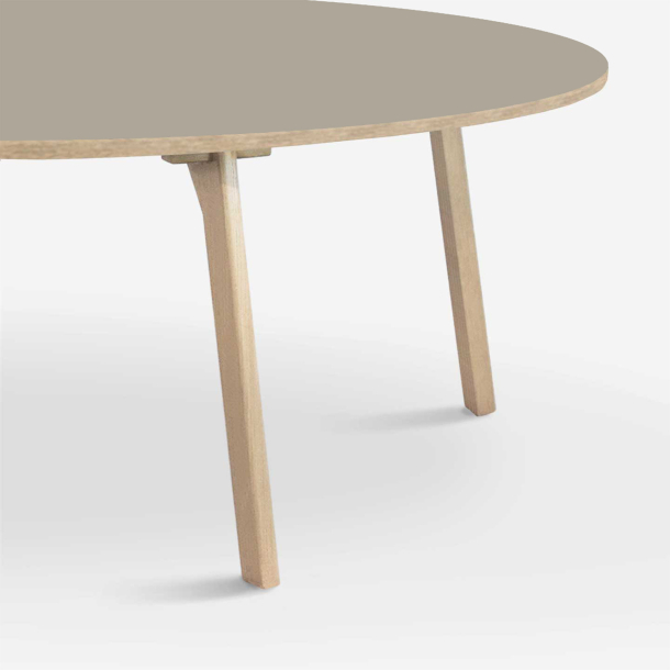 Domusnord Room Oval Dining Table 300 x 110 cm in 19 colors