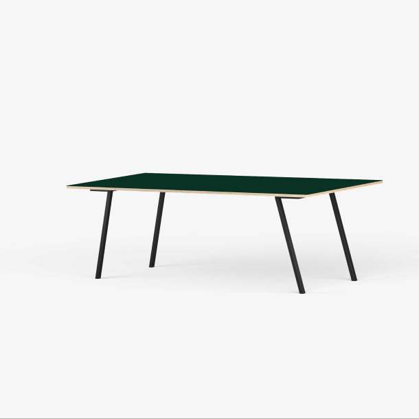 Domusnord Line View Linoleums Spisebord krydsfinr 200 x 90 cm i 19 farver