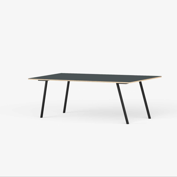 Domusnord Line View Linoleums konferencebord og mdebord krydsfinr 200 x 90 cm i 14 farver