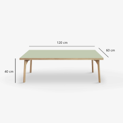 Domusnord Sofabord Room Lounge Table  med linoleum og eg kant 120x60