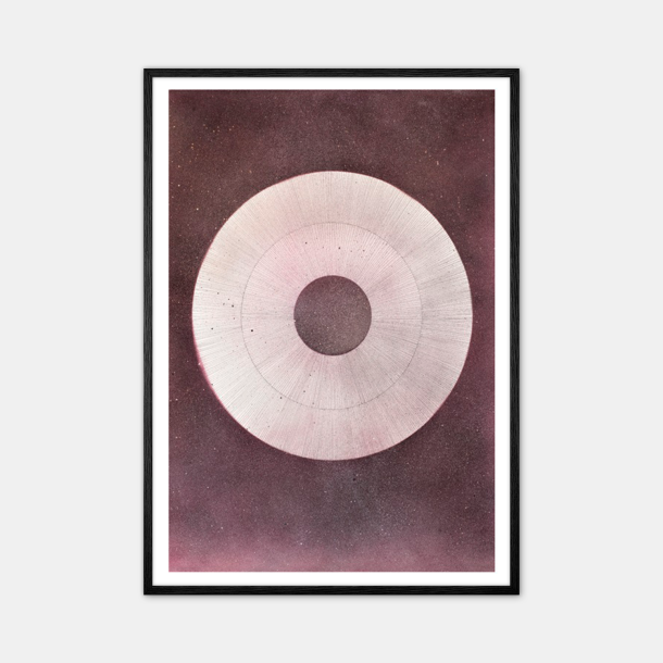Christina Winslv Giant Raspberry Circle Poster 50x70