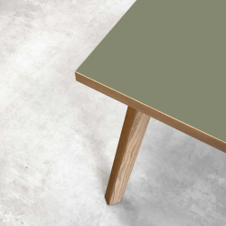 Domusnord Room Linoleum konferencebord og mdebord i Eg 200 x 90 cm i 19 farver