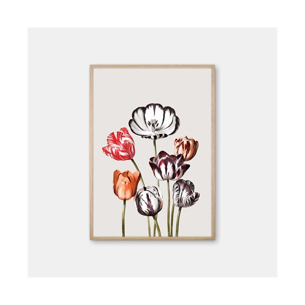 Gehalt Flora &amp; Fauna Remix Tulips plakat 50x70m  varm gr