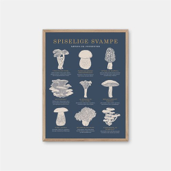 Gehalt Spiselige Svampe plakat  mrkebl