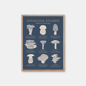 Gehalt Spiselige Svampe plakat  mrkebl