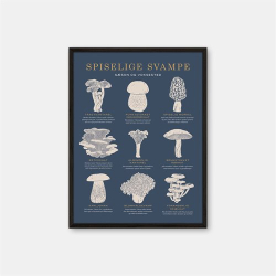 Gehalt Spiselige Svampe plakat  mrkebl