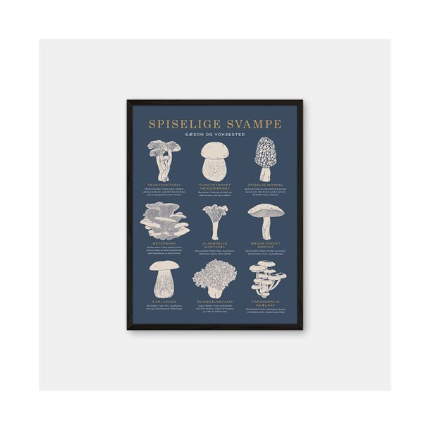 Gehalt Spiselige Svampe plakat  mrkebl