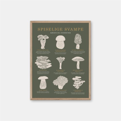Gehalt Spiselige Svampe plakat – mørkegrøn