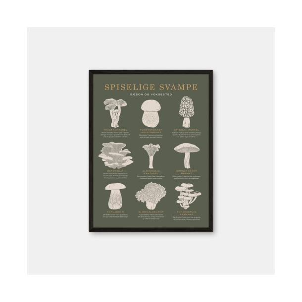 Gehalt Spiselige Svampe plakat – mørkegrøn