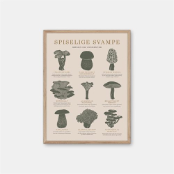 Gehalt Spiselige Svampe plakat  sand