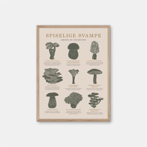 Gehalt Spiselige Svampe plakat  sand