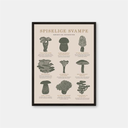 Gehalt Spiselige Svampe plakat  sand